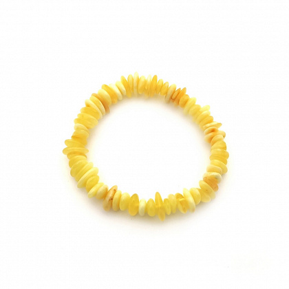 3301104008