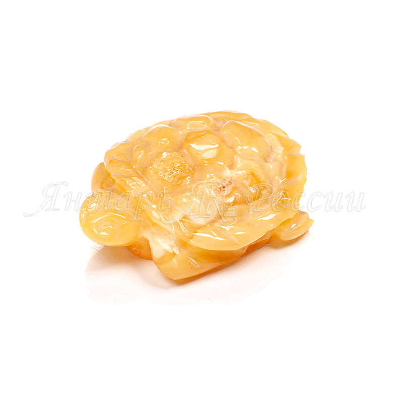 Черепашка Янтарь