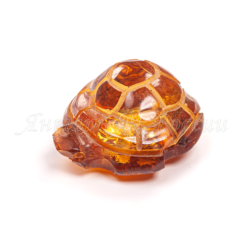 Черепашка Янтарь